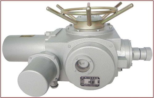 2022年電動(dòng)閥門執(zhí)行器的正確選擇依據(jù)