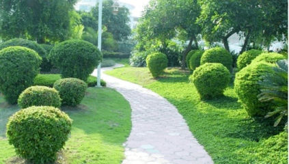 園林綠化工程施工規(guī)范與操作要點(diǎn)