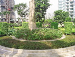 中山最便宜的剪花剪草、園林規(guī)劃設(shè)計(jì)與綠化工程施工全攻略