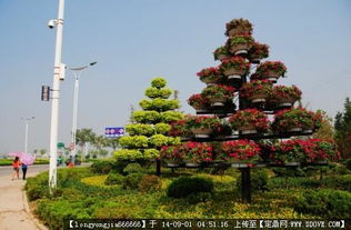 園林綠化工程中的核心要素 從設(shè)計(jì)圖紙到實(shí)景呈現(xiàn)的完整解析