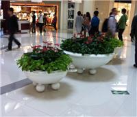 中山全方位綠化與植物租賃服務(wù)指南 從風(fēng)水綠植到園林工程，打造高性價(jià)比綠色空間